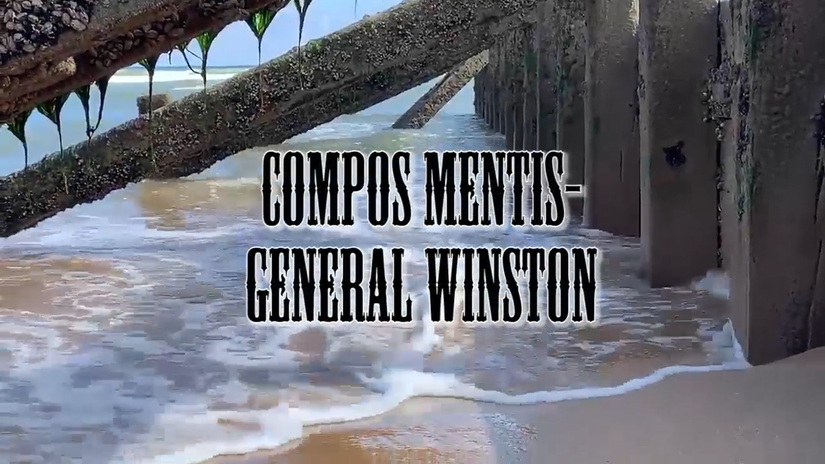 Compos Mentis-General Winston